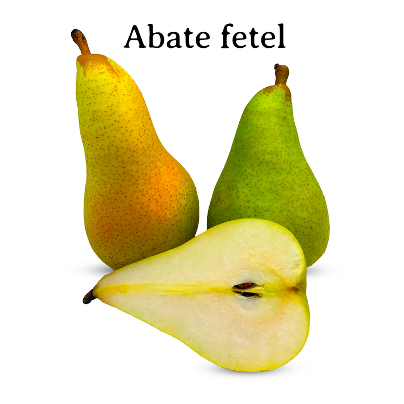 PEra-Abate-Fetel