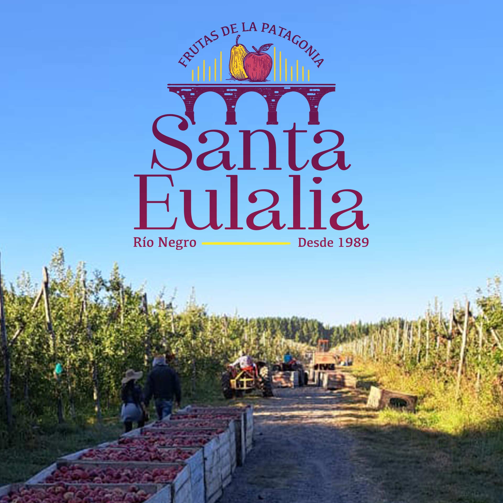 Santaulalia_contacto